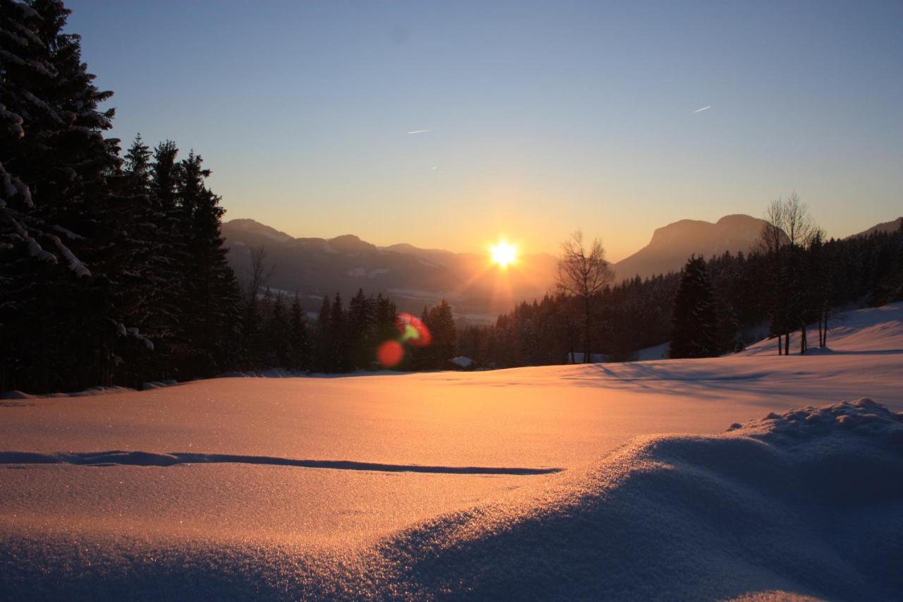 Boutique-Pension Jaegerwirt Scheffau am Wilden Kaiser Kültér fotó